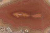 Polished Banded Agate Nodule Section - Morocco #187170-1